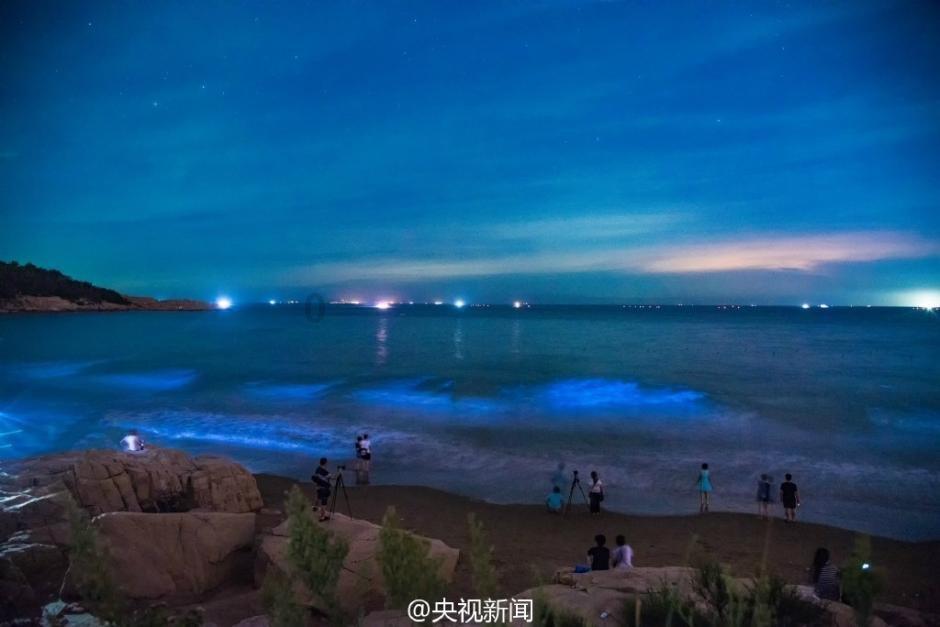 逃离未知丛林2